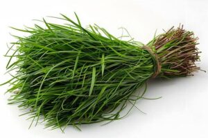 ঘাস (Fresh Grass) 5 KG