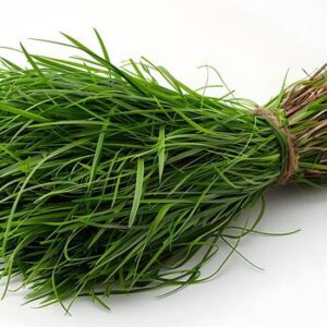 ঘাস (Fresh Grass) 5 KG