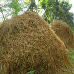 খড় (Hay / Straw) 10kg